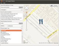 Qt Google Places